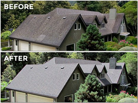 Roof Cleaning | Pro Pressure Clean & Concrete Restoration